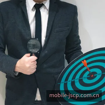 极速彩票网手机端轻量化触控开奖系统预览